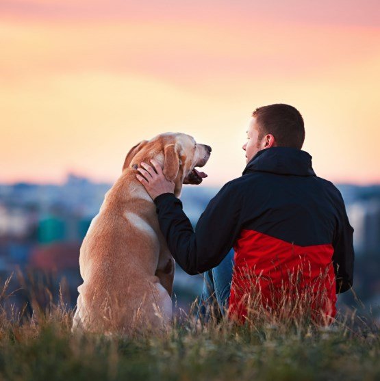 Hombre acariciando a su perro frente a un atardecer